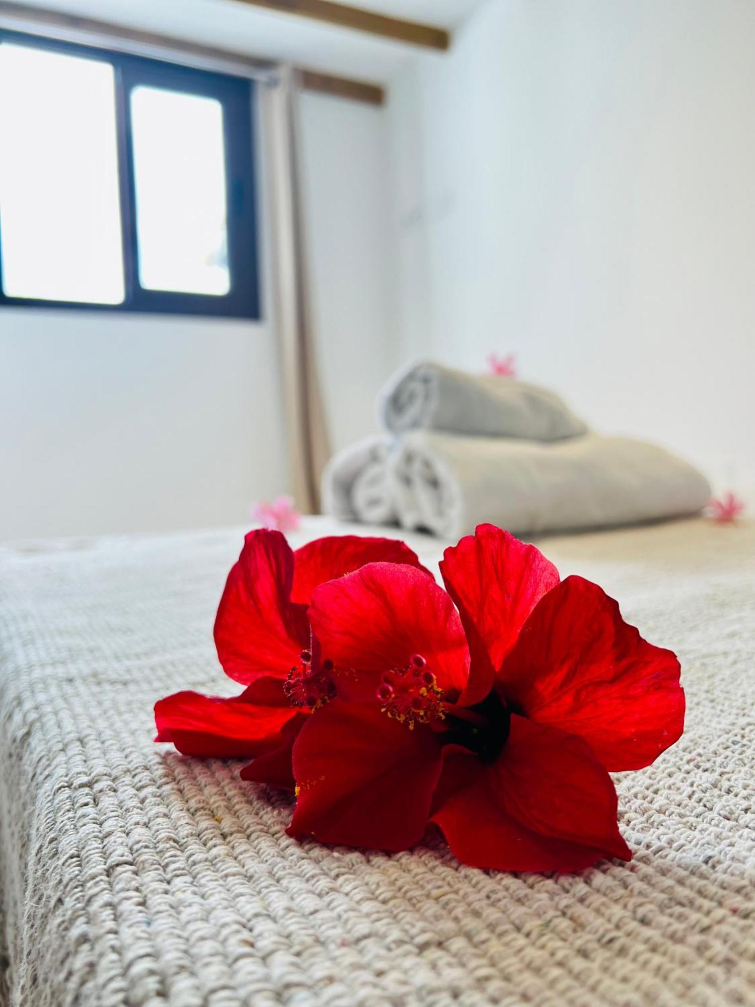 Lavitalsol Apartamento Costa Adeje (Tenerife)